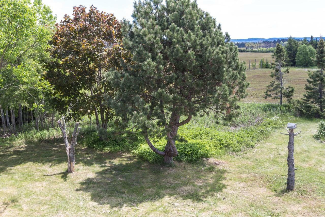 Fox Point Inn Parrsboro 외부 사진